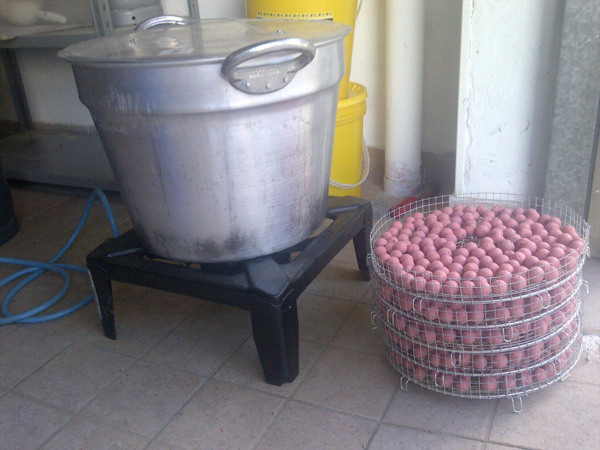 pregatiri - volpiano-20130529-00387.jpg